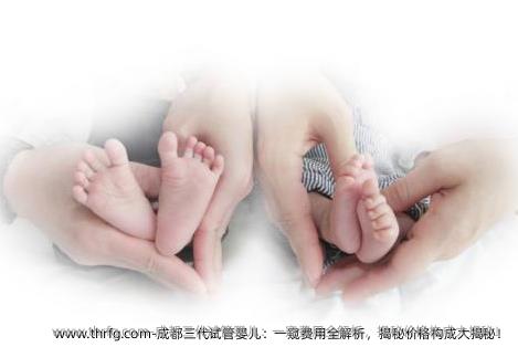 成都三代试管婴儿：一窥费用全解析，揭秘价格构成大揭秘！