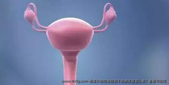 重度少精和弱精能不能做试管婴儿呢？看看可能性