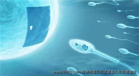 株洲市第三代试管婴儿在在哪里做