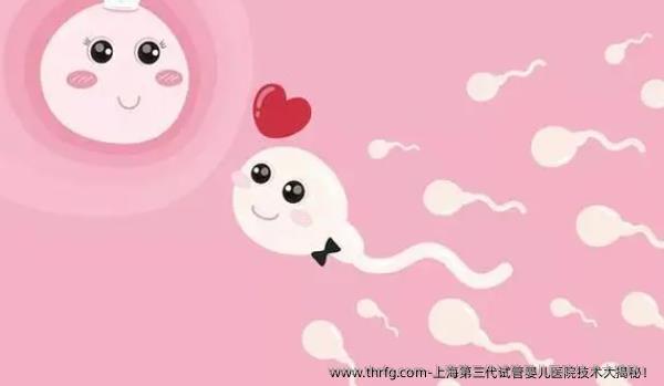 上海第三代试管婴儿医院技术大揭秘！