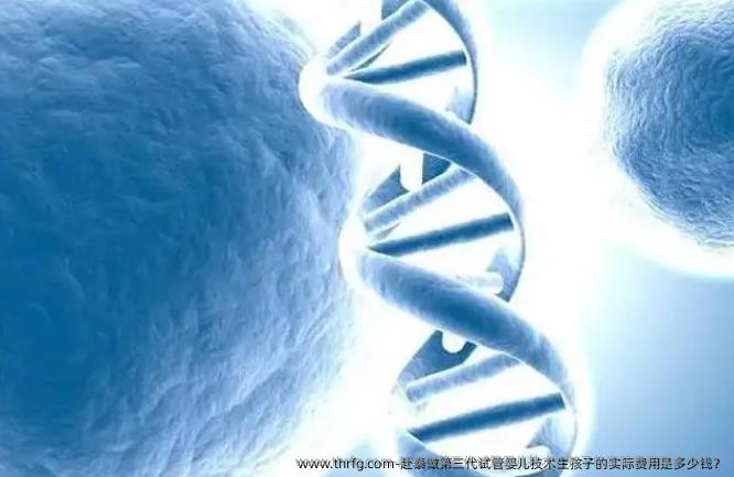 赴泰做第三代试管婴儿技术生孩子的实际费用是多少钱？
