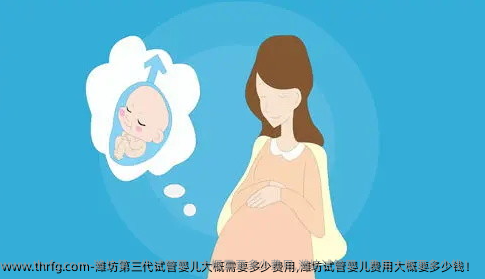 潍坊第三代试管婴儿大概需要多少费用,潍坊试管婴儿费用大概要多少钱！