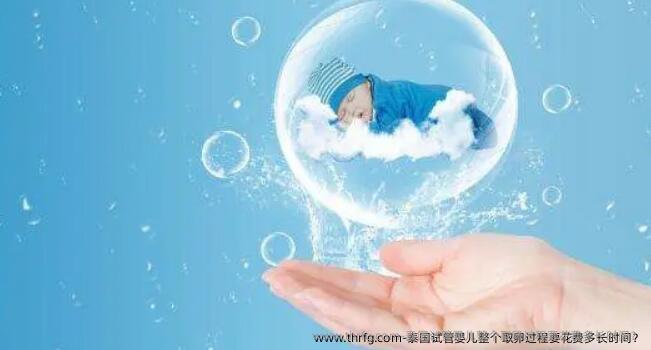 泰国试管婴儿整个卵泡取出过程要花费多长时间？