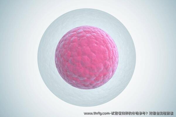 试管促排卵的价格参考？附最全流程解读