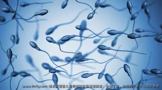 湖北试管婴儿费用报销政策深度解读：全面了解，为您的生育计划提供参考