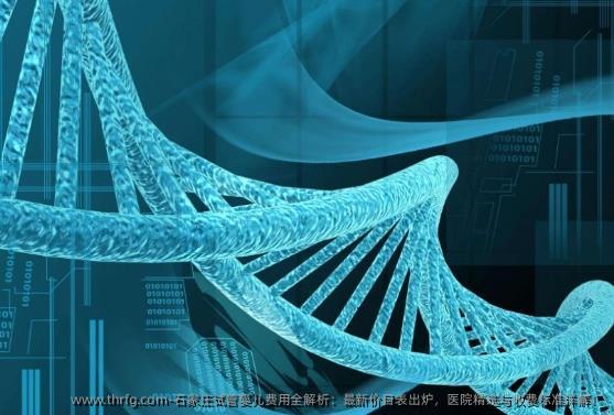 石家庄试管婴儿费用全解析：最新价目表出炉，医院精选与收费标准详解！