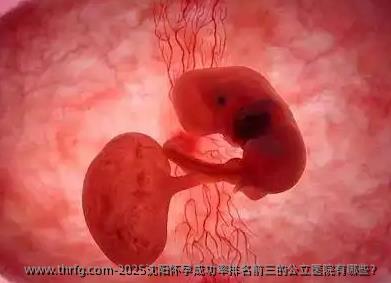 2025沈阳怀孕成功率排名前三的公立医院有哪些？