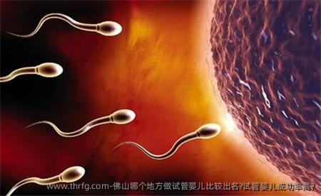 佛山哪个地方做试管婴儿比较出名?试管婴儿成功率高?