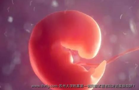苏州大学附属第一医院做试管老院好还是新院好？