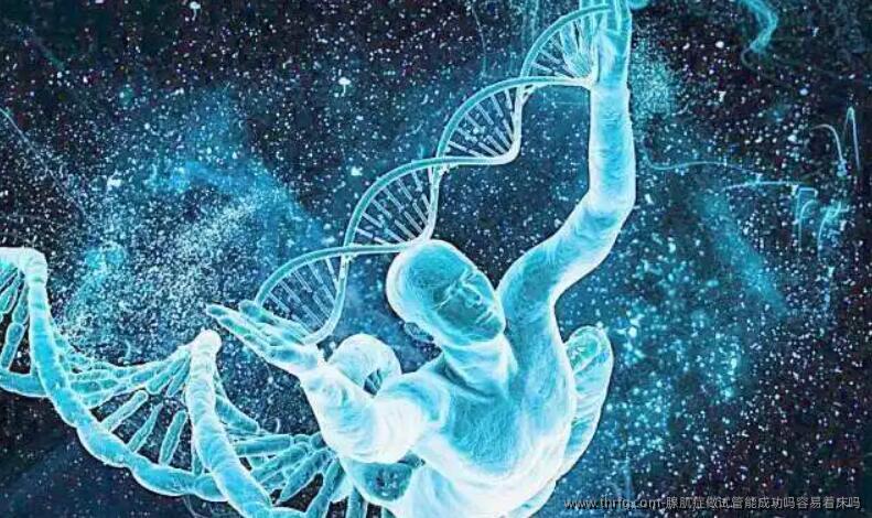 腺肌症做试管能成功吗容易着床吗