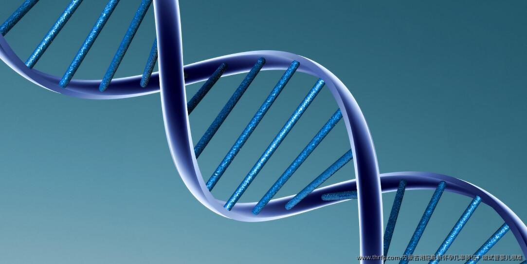 内蒙古附院最新怀孕几率预估？做试管婴儿很难