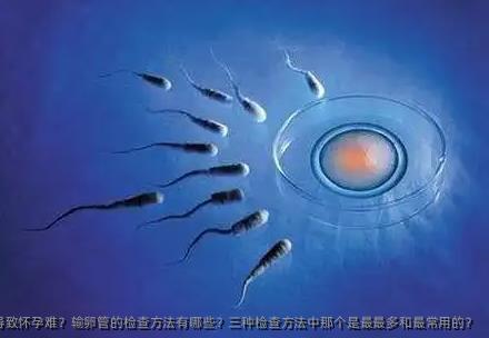 输卵管堵塞也会导致怀孕难？输卵管的检查方法有哪些？三种检查方法中那个是最最多和最常用的？