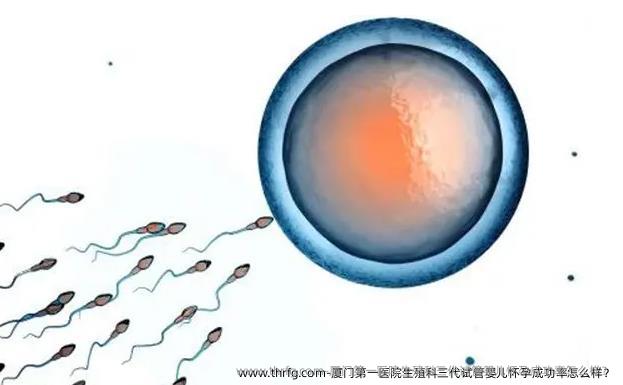 厦门第一医院生殖科三代试管婴儿怀孕成功率怎么样？