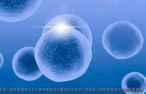 试管婴儿鲜胚移植第五天小腹胀痛是成功着床的征兆吗？试管婴儿鲜胚移植成功后的注意事项