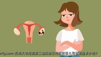 苏州大学附属第二医院做三代试管婴儿需要准备多少钱？