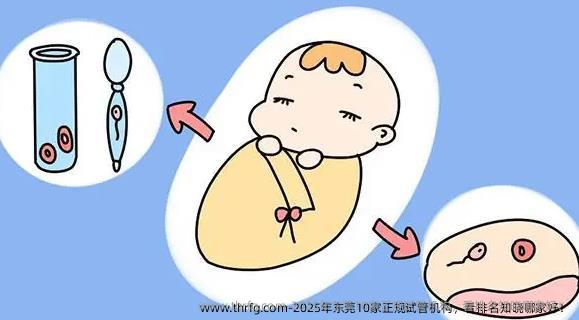 2025年东莞10家正规试管机构，看排名知晓哪家好！