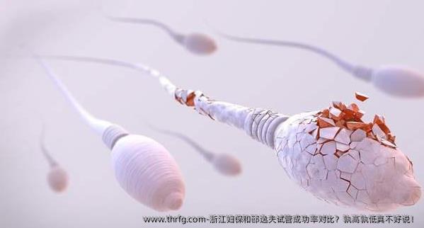 浙江妇保和邵逸夫试管成功率对比？孰高孰低真不好说！