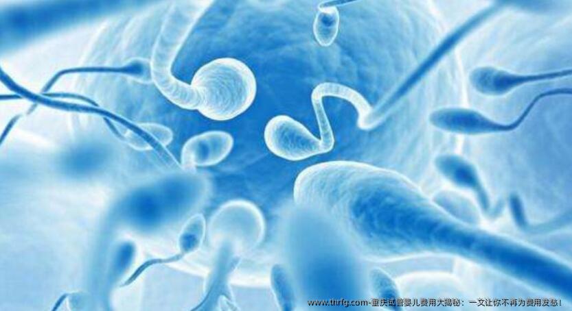 重庆试管婴儿费用大揭秘：一文让你不再为费用发愁！