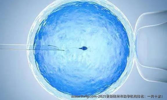 2025更新锦州市助孕机构排名：一共十家！
