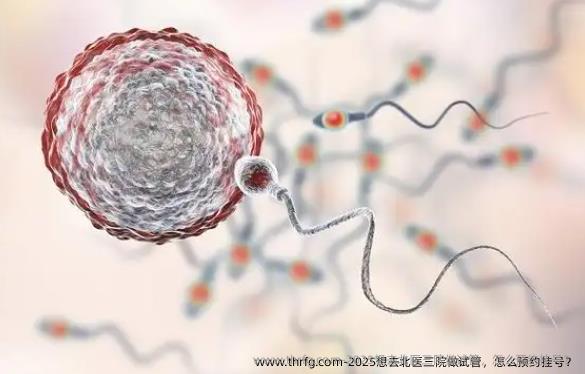 2025想去北医三院做试管，怎么预约挂号？