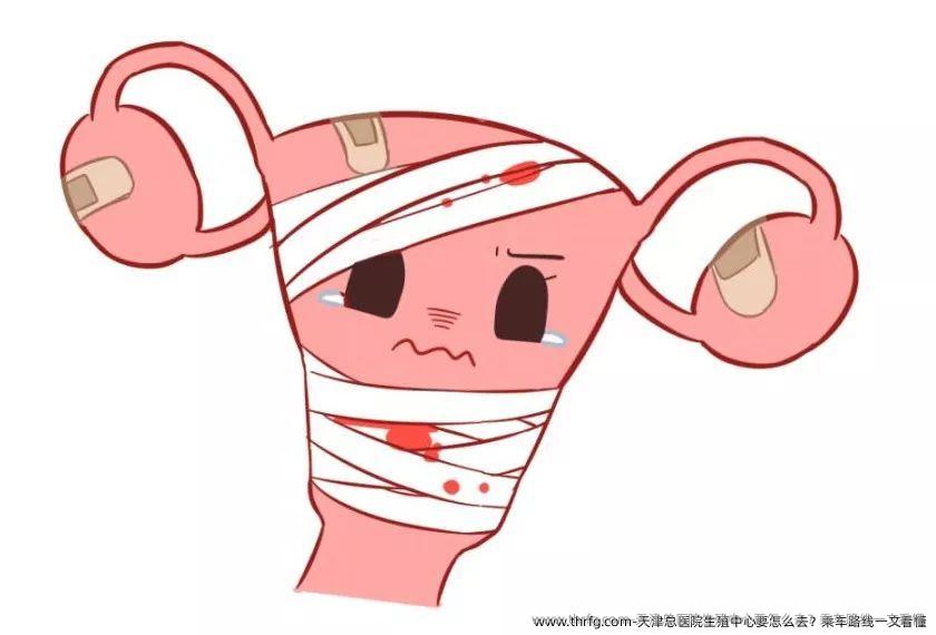 天津总医院生殖中心要怎么去？乘车路线一文看懂