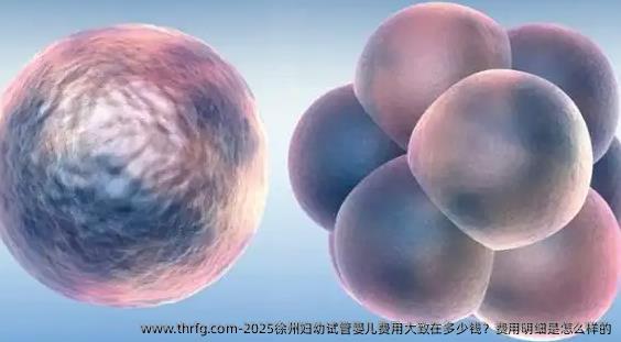 2025徐州妇幼试管婴儿费用大致在多少钱？费用明细是怎么样的