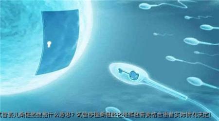 试管婴儿桑椹胚胎是什么意思？试管移植桑椹胚还是鲜胚需要结合患者实际情况决定！