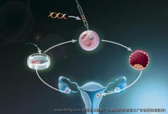 试管婴儿哪家广东医院好(试管婴儿广东医院排名较好)