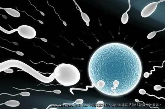 湖北那个医院试管好？湖北哪家医院做试管婴儿较重要？