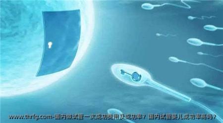 国内做试管初次成功费用及成功率？国内试管婴儿成功率高吗？