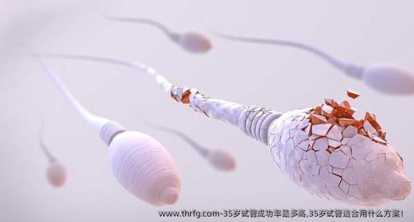 35岁试管成功率是多高,35岁试管适合用什么方案！