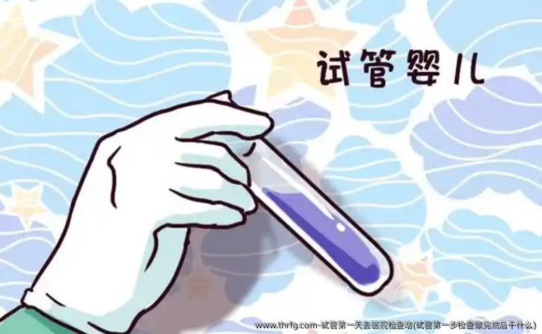试管第一天去医院检查啥(试管第一步检查做完然后干什么)