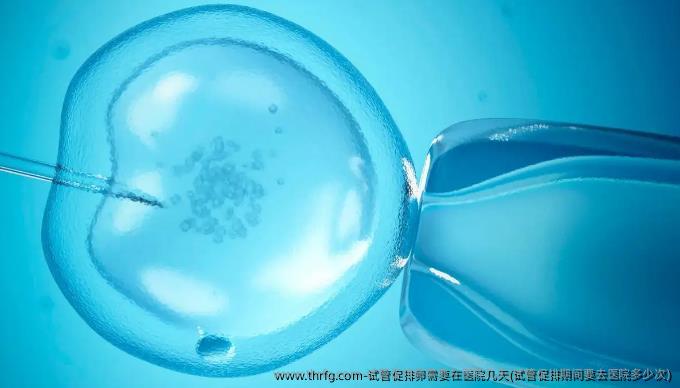 试管促排卵需要在医院几天(试管促排期间要去医院多少次)