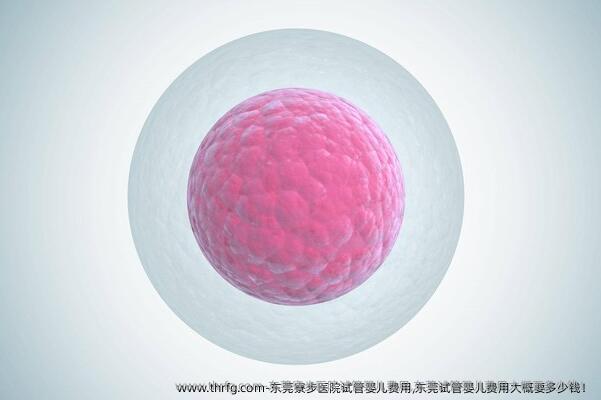 东莞寮步医院试管婴儿费用,东莞试管婴儿费用大概要多少钱！