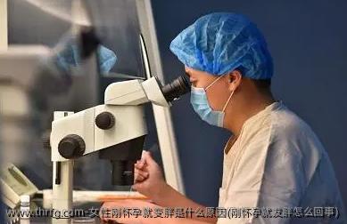 女性刚怀孕就变胖是什么原因(刚怀孕就发胖怎么回事)