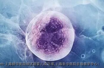 上海新华医院做试管婴儿成功率,上海新华医院生殖医学中心！