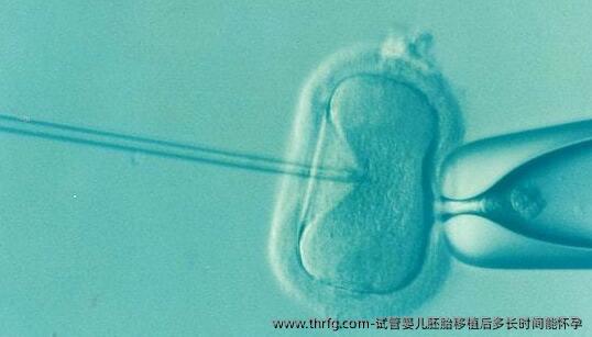 试管婴儿胚胎移植后多长时间能怀孕