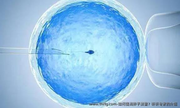 如何提高卵子质量？听听专家的介绍