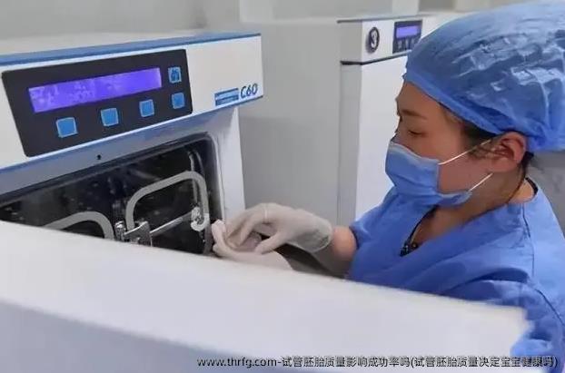 试管胚胎质量影响成功率吗(试管胚胎质量决定宝宝健康吗)