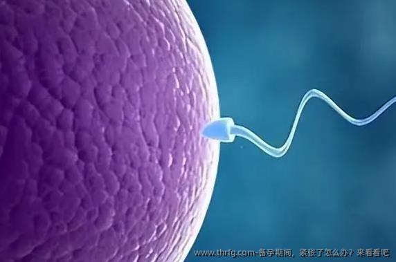 备孕期间，紧张了怎么办？来看看吧