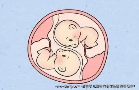 试管婴儿卵泡取出前要注意哪些事项呢？