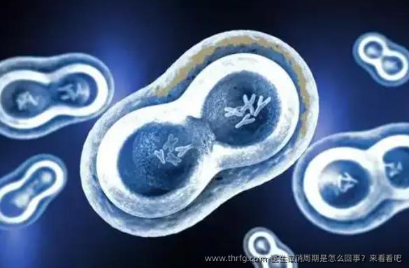 医生取消周期是怎么回事？来看看吧