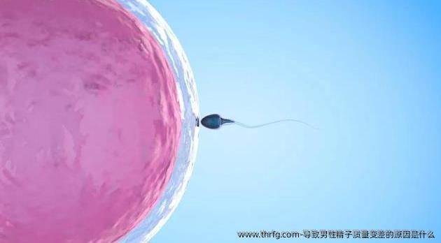 导致男性精子质量变差的原因是什么