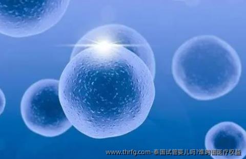 泰国试管婴儿吗?谁跨国医疗权益