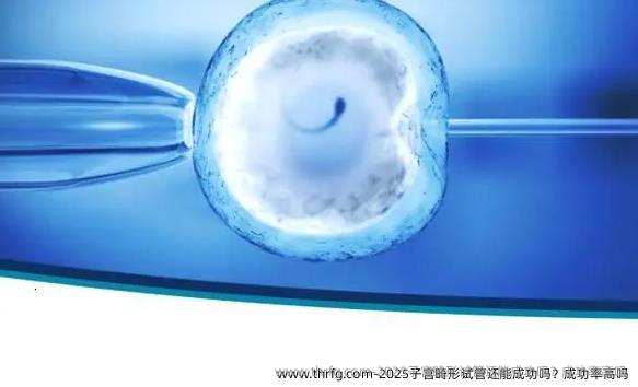 2025子宫畸形试管还能成功吗？成功率高吗