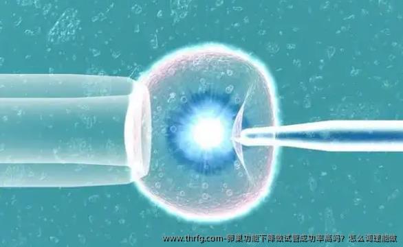卵巢功能下降做试管成功率高吗？怎么调理能做