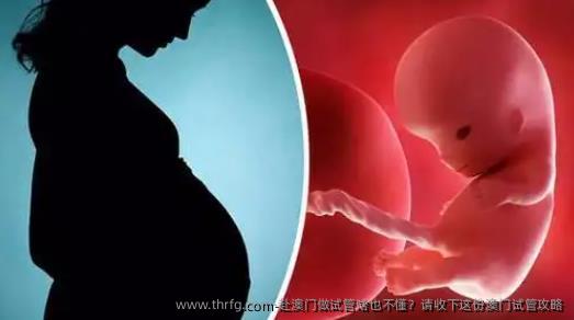 赴澳门做试管啥也不懂？请收下这份澳门试管攻略