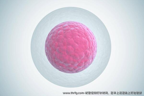 试管促排打针时间，是早上还是晚上打比较好