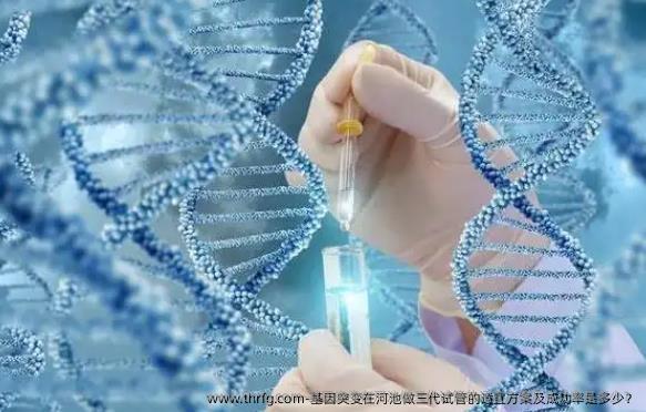 基因突变在河池做三代试管的适宜方案及成功率是多少？