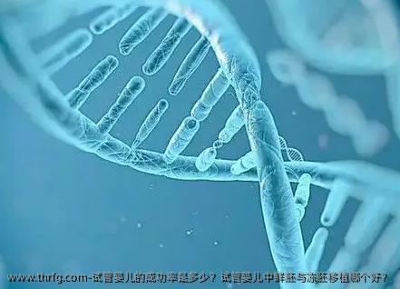 试管婴儿的成功率是多少？试管婴儿中鲜胚与冻胚移植哪个好？